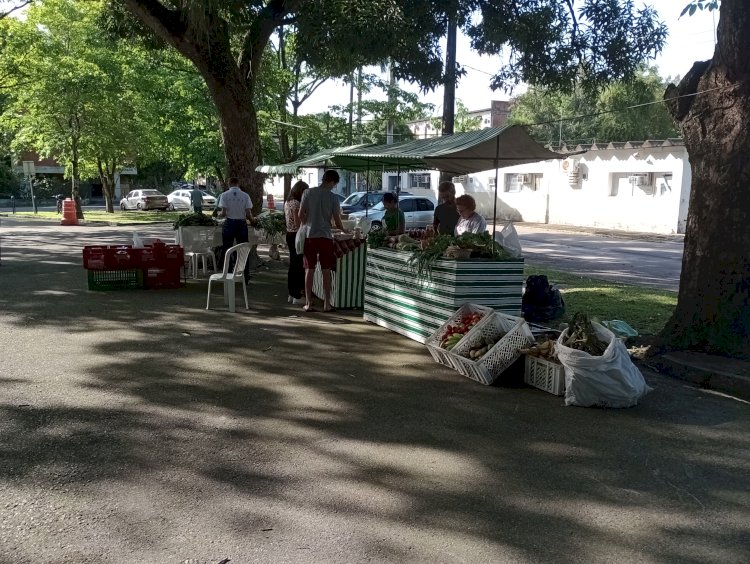 Ecofeira da Rural é opção para quem deseja comprar alimentos da agricultura familiar na área urbana