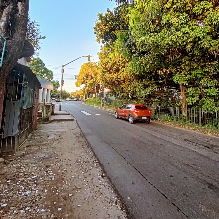 No Recife: População clama por poda em árvores nos bairros de Sítio dos Pintos e Dois Irmãos